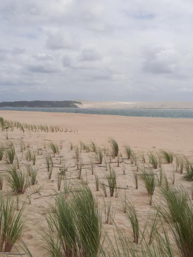 Dune La Teste-de-Buch Exterior foto